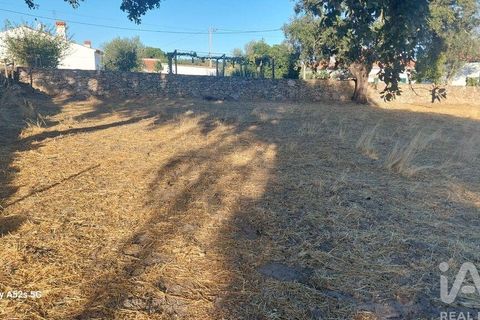 Terra a Portalegre, Portalegre, Portalegre - € 137.000 | Ref: 149716 - foto 16
