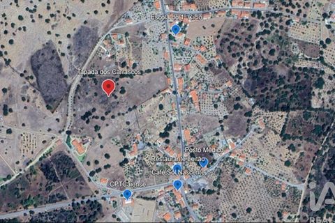 Terra a Portalegre, Portalegre, Portalegre - € 137.000 | Ref: 149716 - foto 17