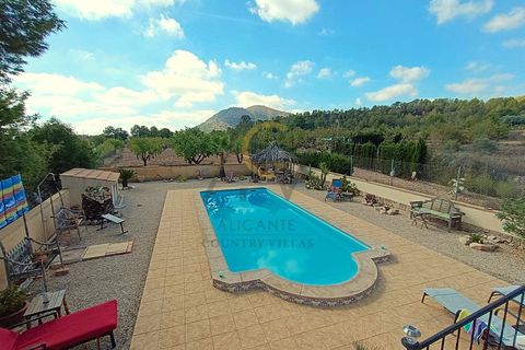 Landejendom i Monovar, Alicante, Monovar - € 349.900 | Ref: DNV0594 - foto 43