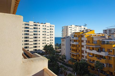 Penthouse in Torrevieja, Alicante - Foto 1