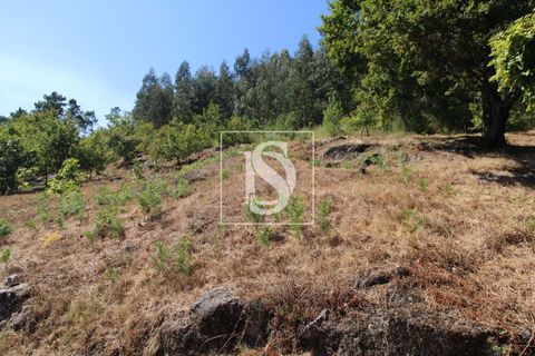 Helårsgrund i Amarante, Porto, Amarante - € 55.000 | Ref: AMTRM202/12937 - foto 3