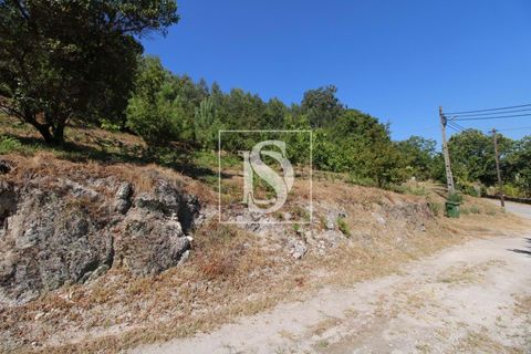 Helårsgrund i Amarante, Porto, Amarante - € 55.000 | Ref: AMTRM202/12937 - foto 5