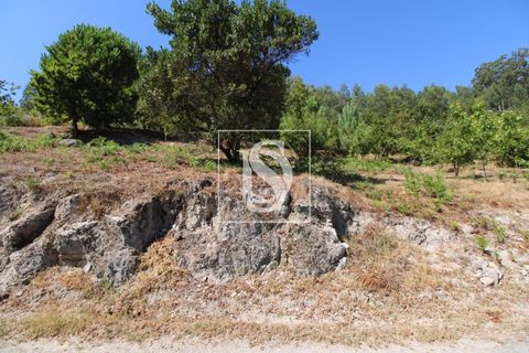 Helårsgrund i Amarante, Porto, Amarante - € 55.000 | Ref: AMTRM202/12937 - foto 6
