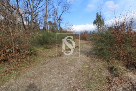 Helårsgrund i Amarante, Porto, Amarante - € 125.000 | Ref: AMTRM151/12937 - foto 2
