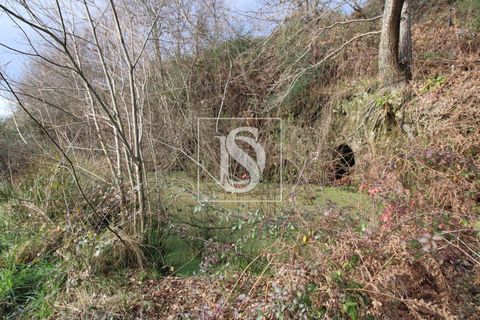 Helårsgrund i Amarante, Porto, Amarante - € 125.000 | Ref: AMTRM151/12937 - foto 3