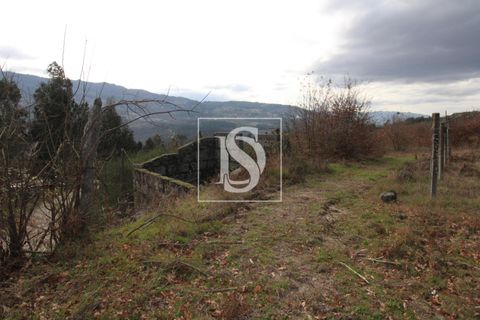 Helårsgrund i Amarante, Porto, Amarante - € 125.000 | Ref: AMTRM151/12937 - foto 5