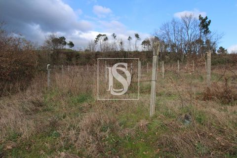 Helårsgrund i Amarante, Porto, Amarante - € 125.000 | Ref: AMTRM151/12937 - foto 6