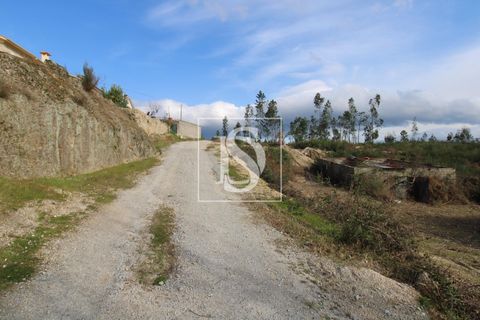 Helårsgrund i Amarante, Porto, Amarante - € 125.000 | Ref: AMTRM151/12937 - foto 8