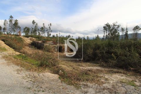 Helårsgrund i Amarante, Porto, Amarante - € 125.000 | Ref: AMTRM151/12937 - foto 9