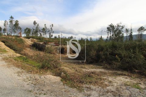 Helårsgrund i Amarante, Porto, Amarante - € 125.000 | Ref: AMTRM151/12937 - foto 13