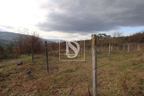 Helårsgrund i Amarante, Porto, Amarante - € 125.000 | Ref: AMTRM151/12937 - foto 16
