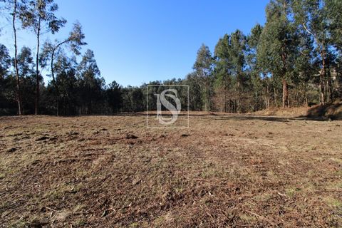 Helårsgrund i Amarante, Porto, Amarante - € 35.000 | Ref: AMTST461/12937 - foto 3