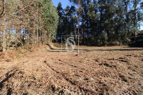 Helårsgrund i Amarante, Porto, Amarante - € 35.000 | Ref: AMTST461/12937 - foto 4