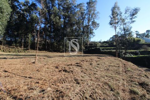 Helårsgrund i Amarante, Porto, Amarante - € 35.000 | Ref: AMTST461/12937 - foto 5