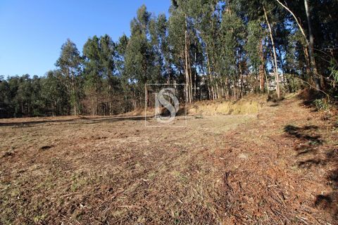 Helårsgrund i Amarante, Porto, Amarante - € 35.000 | Ref: AMTST461/12937 - foto 6