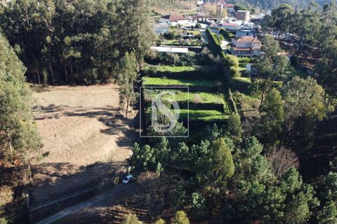 Helårsgrund i Amarante, Porto, Amarante - € 35.000 | Ref: AMTST461/12937 - foto 10