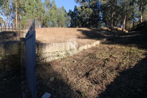 Helårsgrund i Amarante, Porto, Amarante - € 35.000 | Ref: AMTST461/12937 - foto 11