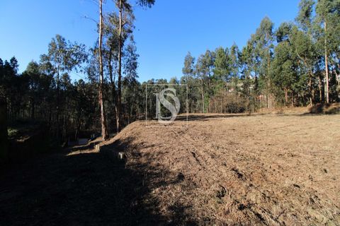 Helårsgrund i Amarante, Porto, Amarante - € 35.000 | Ref: AMTST461/12937 - foto 12