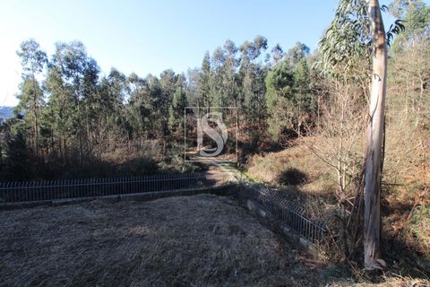 Helårsgrund i Amarante, Porto, Amarante - € 35.000 | Ref: AMTST461/12937 - foto 13