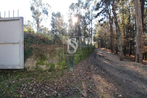 Helårsgrund i Amarante, Porto, Amarante - € 35.000 | Ref: AMTST461/12937 - foto 15
