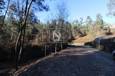 Helårsgrund i Amarante, Porto, Amarante - € 35.000 | Ref: AMTST461/12937 - foto 16