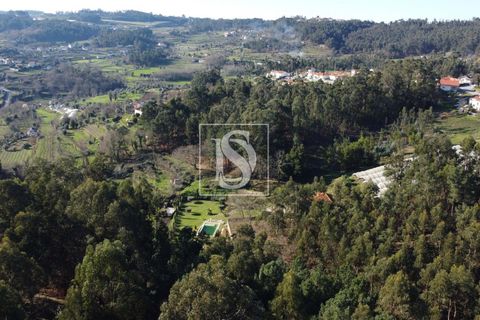 Helårsgrund i Amarante, Porto, Amarante - € 35.000 | Ref: AMTST461/12937 - foto 17