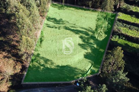 Helårsgrund i Amarante, Porto, Amarante - € 35.000 | Ref: AMTST461/12937 - foto 18