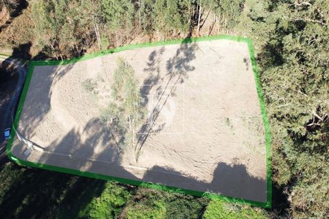 Helårsgrund i Amarante, Porto, Amarante - € 35.000 | Ref: AMTST461/12937 - foto 19