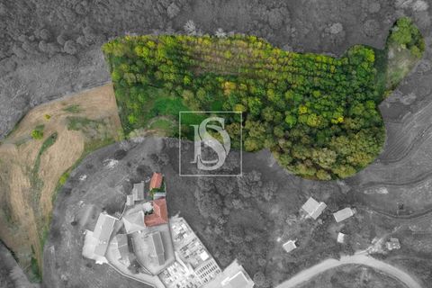 Masia a Amarante, Porto, Amarante - € 85.000 | Ref: AMTPFM474/12937 - foto 7
