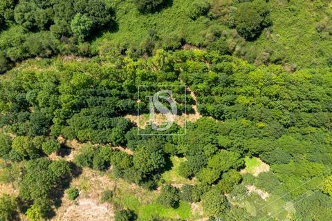 Masia a Amarante, Porto, Amarante - € 85.000 | Ref: AMTPFM474/12937 - foto 15