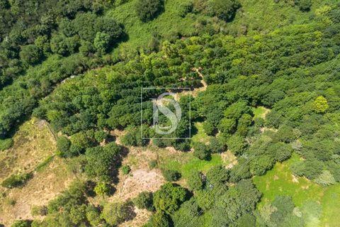 Masia a Amarante, Porto, Amarante - € 85.000 | Ref: AMTPFM474/12937 - foto 16
