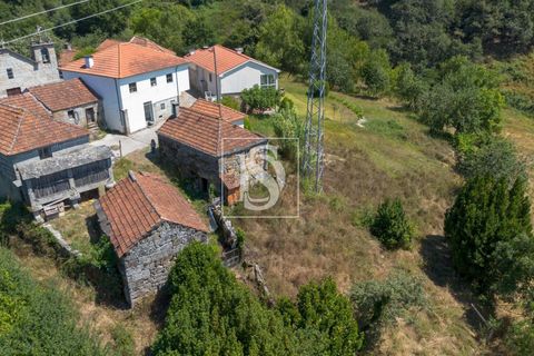 Masia a Amarante, Porto, Amarante - € 85.000 | Ref: AMTPFM474/12937 - foto 18