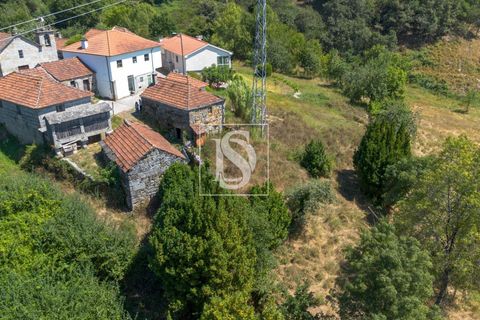 Masia a Amarante, Porto, Amarante - € 85.000 | Ref: AMTPFM474/12937 - foto 19