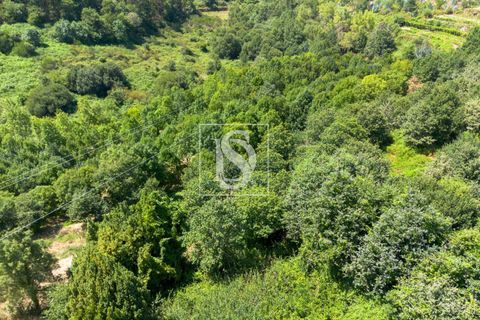 Masia a Amarante, Porto, Amarante - € 85.000 | Ref: AMTPFM474/12937 - foto 21