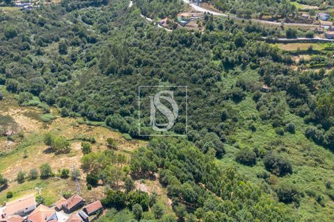 Masia a Amarante, Porto, Amarante - € 85.000 | Ref: AMTPFM474/12937 - foto 25