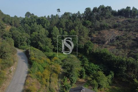 Helårsgrund i Amarante, Porto, Amarante - € 65.000 | Ref: AMTGD529/12937 - foto 2