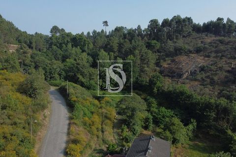 Helårsgrund i Amarante, Porto, Amarante - € 65.000 | Ref: AMTGD529/12937 - foto 3