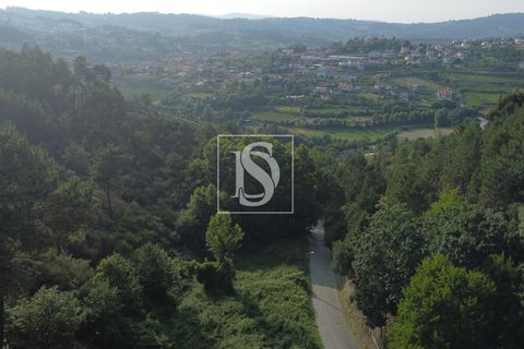 Helårsgrund i Amarante, Porto, Amarante - € 65.000 | Ref: AMTGD529/12937 - foto 5