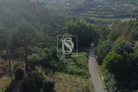 Helårsgrund i Amarante, Porto, Amarante - € 65.000 | Ref: AMTGD529/12937 - foto 6