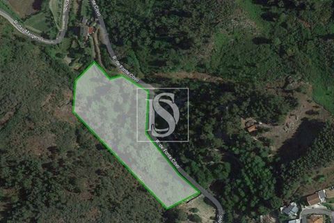 Helårsgrund i Amarante, Porto, Amarante - € 65.000 | Ref: AMTGD529/12937 - foto 7
