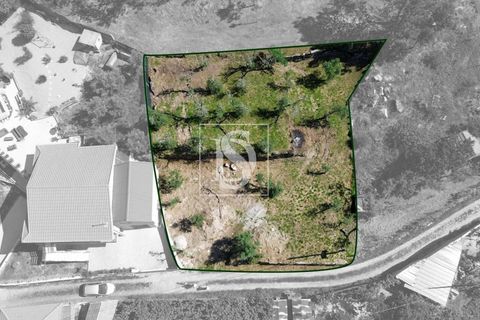 Helårsgrund i Amarante, Porto, Amarante - € 35.000 | Ref: AMTJPP613/12937 - foto 2