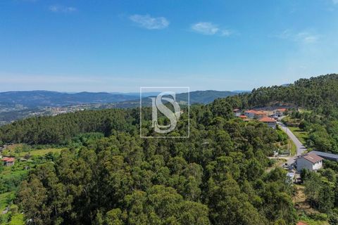 Helårsgrund i Amarante, Porto, Amarante - € 35.000 | Ref: AMTJPP613/12937 - foto 8