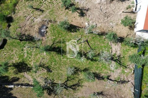 Helårsgrund i Amarante, Porto, Amarante - € 35.000 | Ref: AMTJPP613/12937 - foto 11