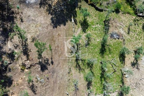 Helårsgrund i Amarante, Porto, Amarante - € 35.000 | Ref: AMTJPP613/12937 - foto 13