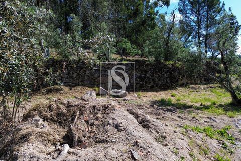 Helårsgrund i Amarante, Porto, Amarante - € 35.000 | Ref: AMTJPP613/12937 - foto 15
