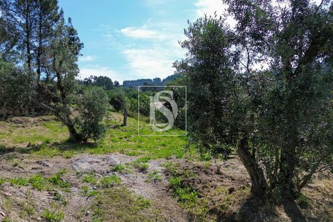 Helårsgrund i Amarante, Porto, Amarante - € 35.000 | Ref: AMTJPP613/12937 - foto 16