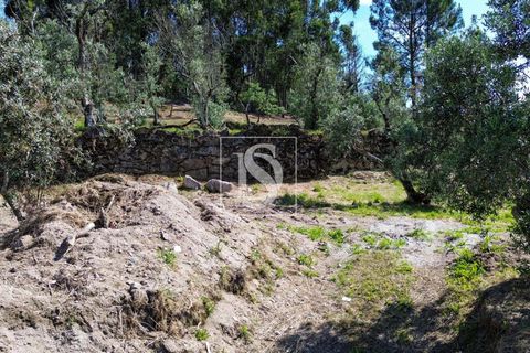 Helårsgrund i Amarante, Porto, Amarante - € 35.000 | Ref: AMTJPP613/12937 - foto 18