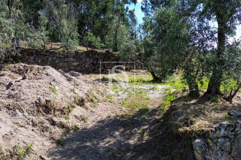 Helårsgrund i Amarante, Porto, Amarante - € 35.000 | Ref: AMTJPP613/12937 - foto 19