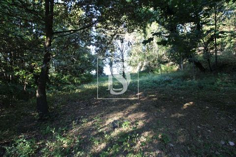 Helårsgrund i Amarante, Porto, Amarante - € 18.500 | Ref: AMTRM470/12937 - foto 2