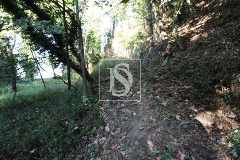 Helårsgrund i Amarante, Porto, Amarante - € 18.500 | Ref: AMTRM470/12937 - foto 3